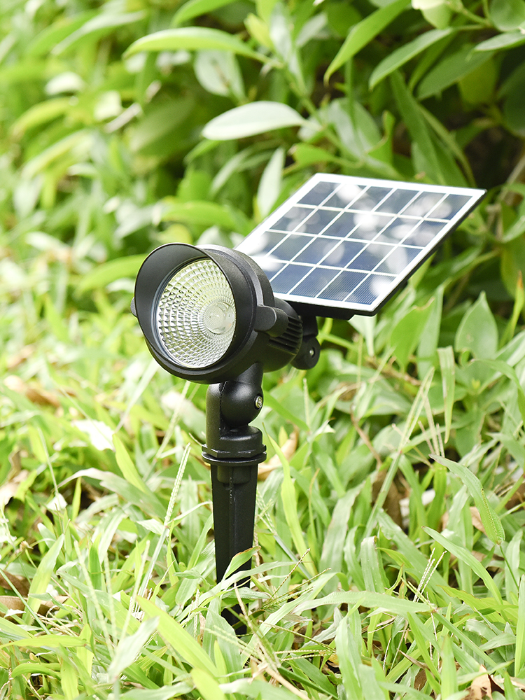 文件上传成功！