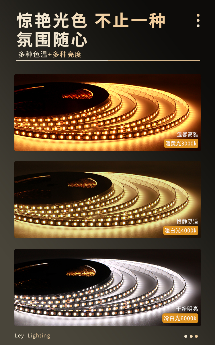 文件上传成功！