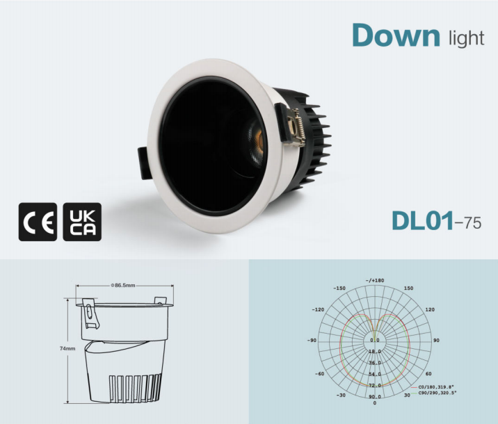 文件上传成功！