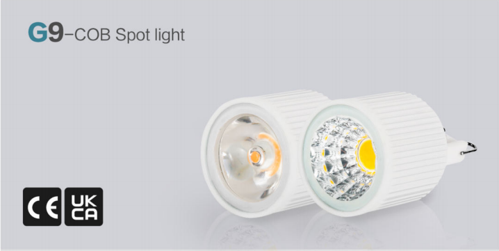 文件上传成功！