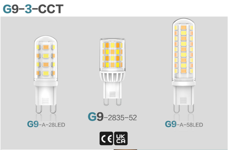 文件上传成功！