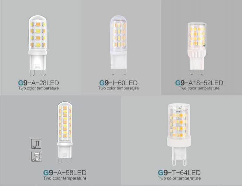 文件上传成功！