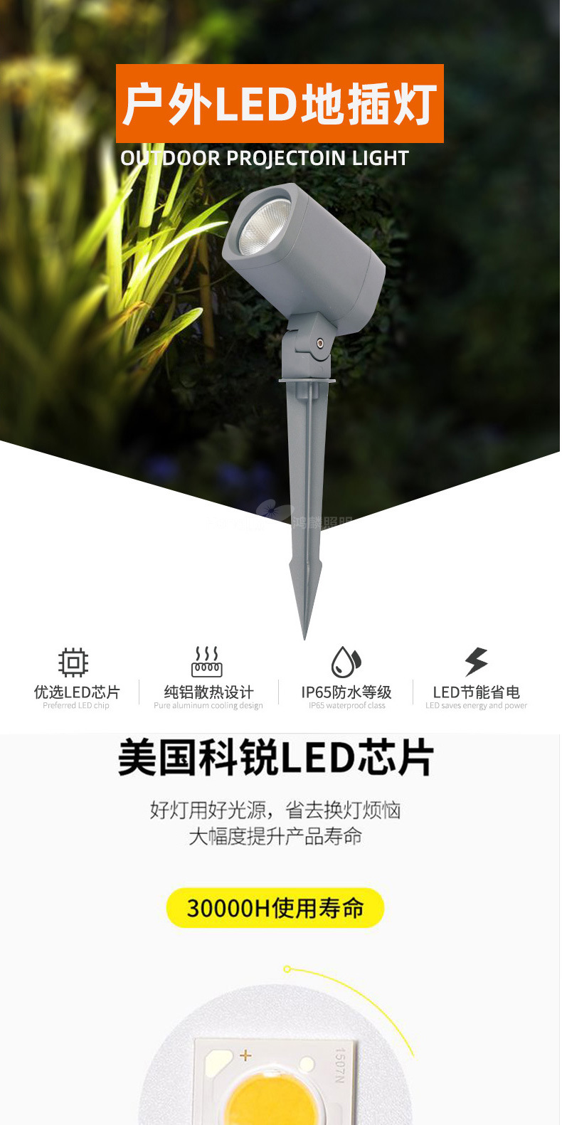 文件上传成功！