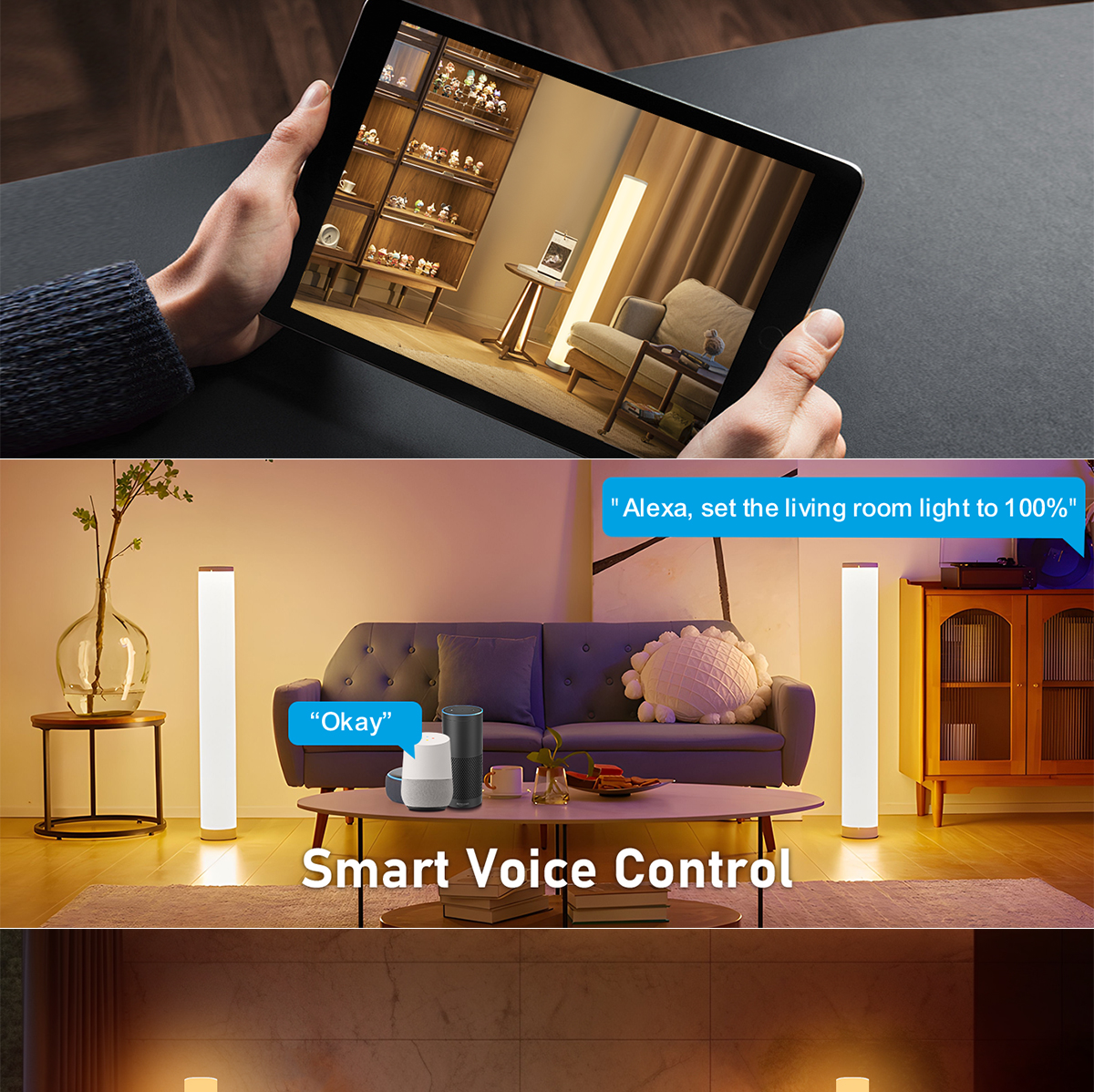 文件上传成功！