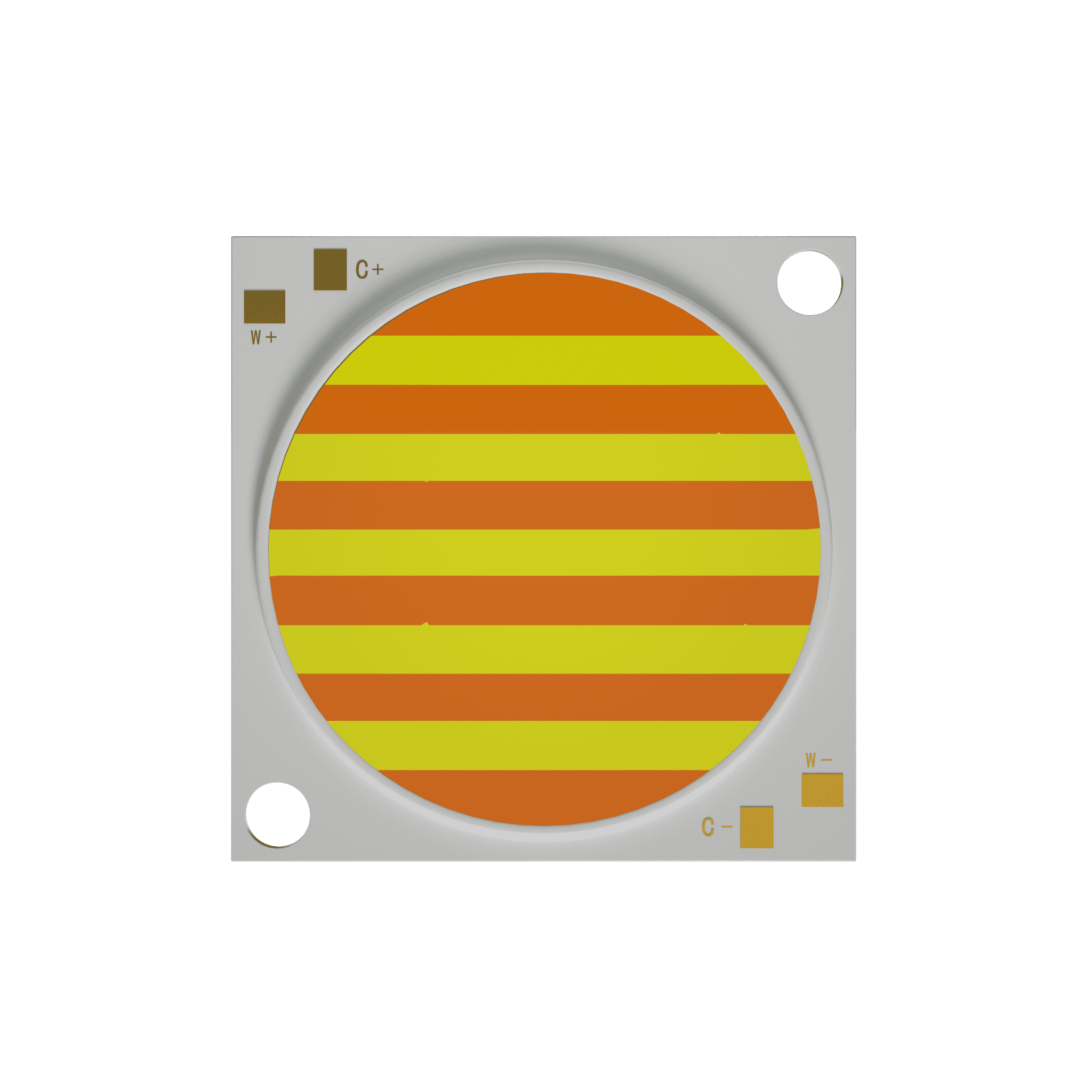 文件上传成功！