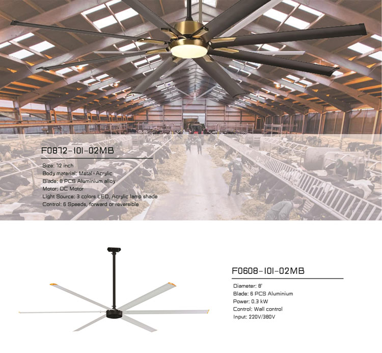 文件上传成功！