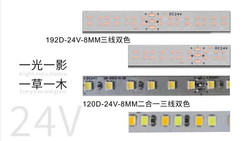 文件上传成功！