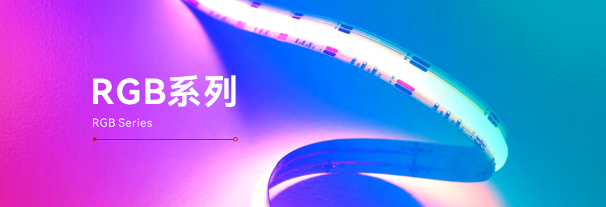 文件上传成功！