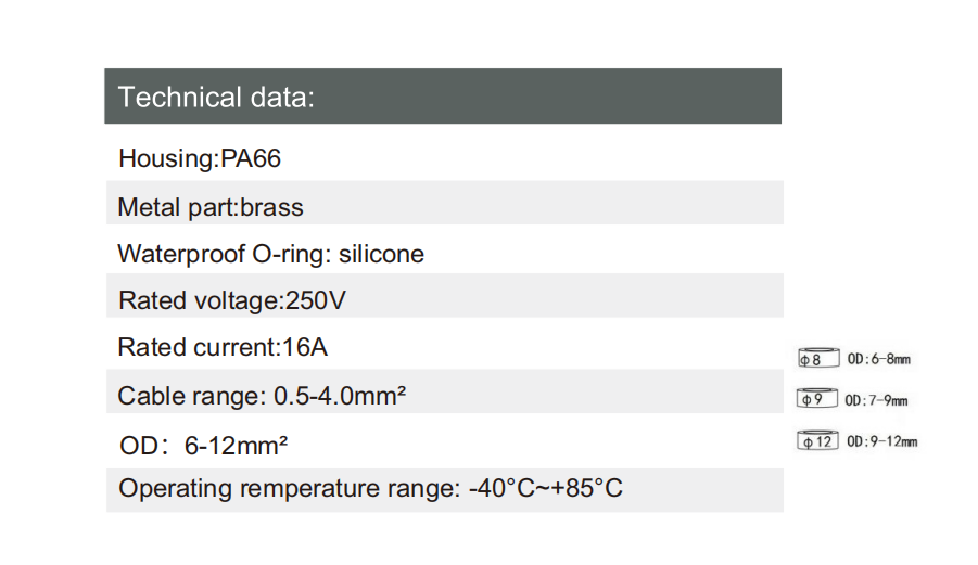文件上传成功！