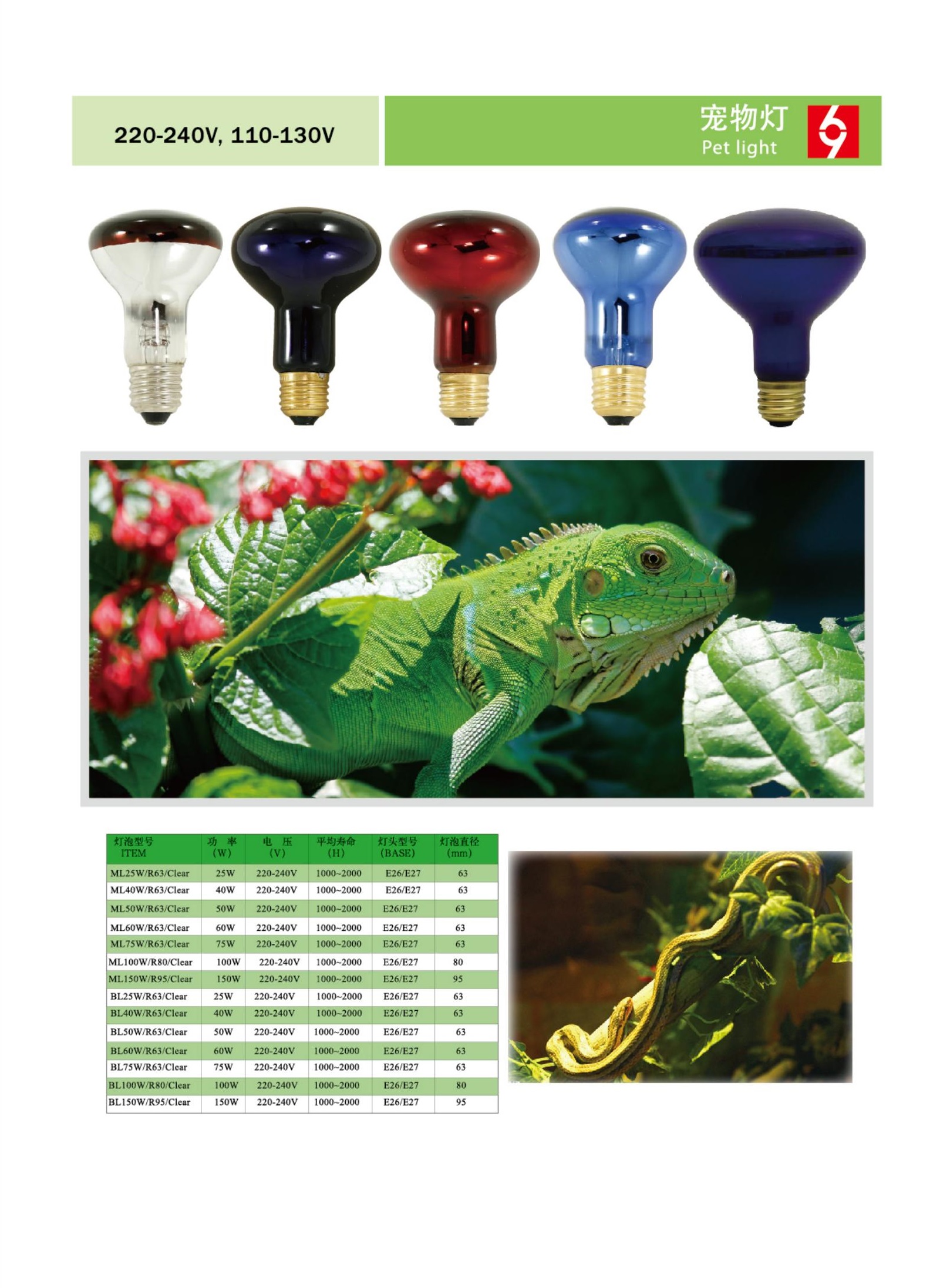 文件上传成功！