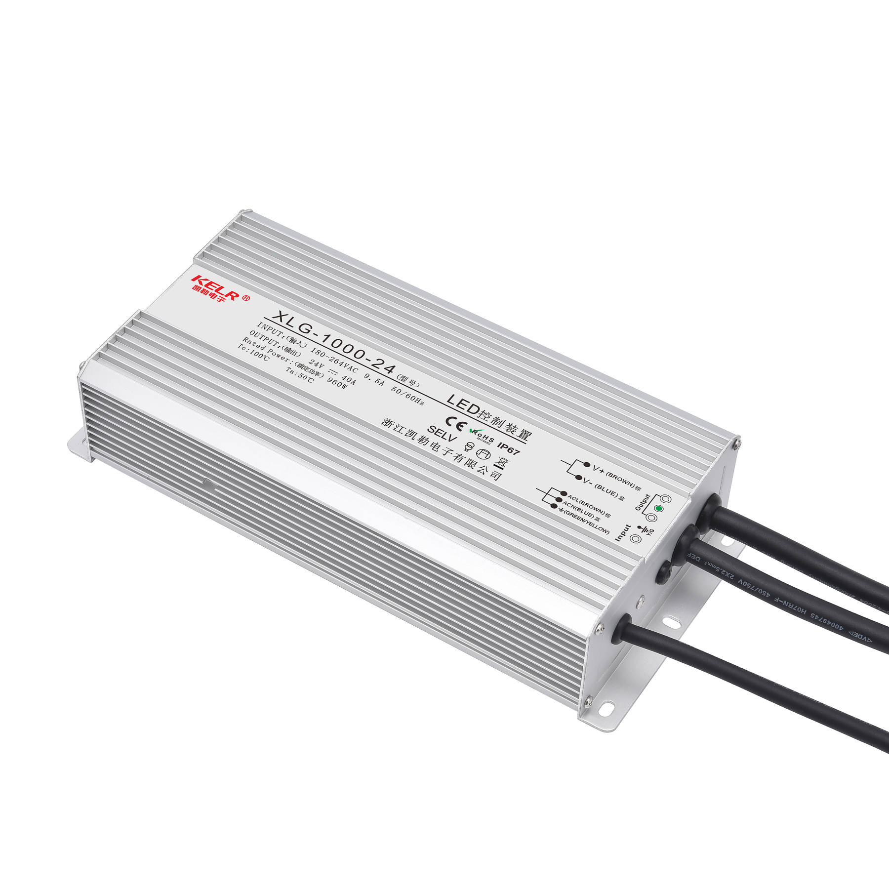 文件上传成功！