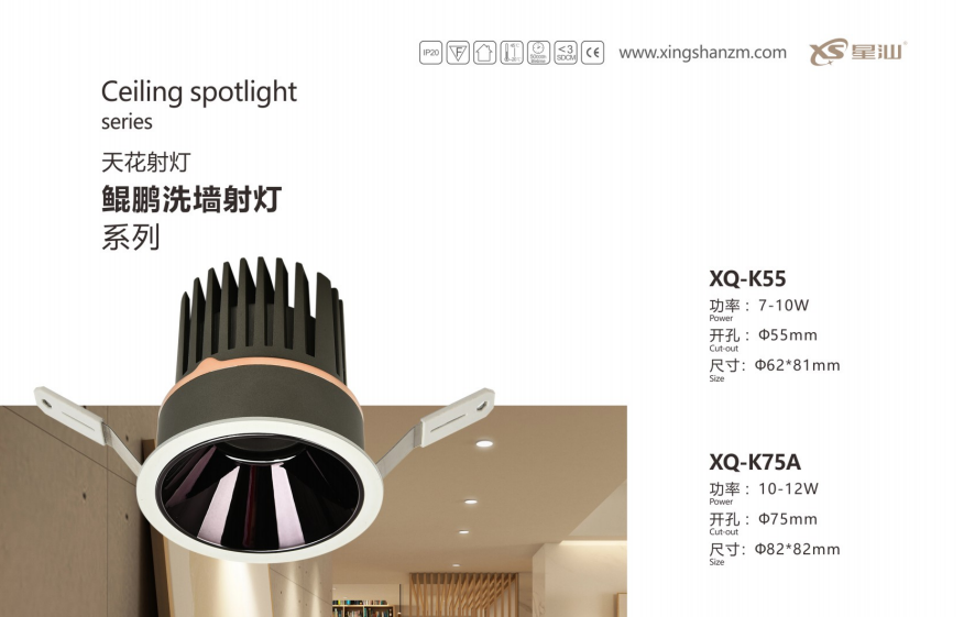 文件上传成功！