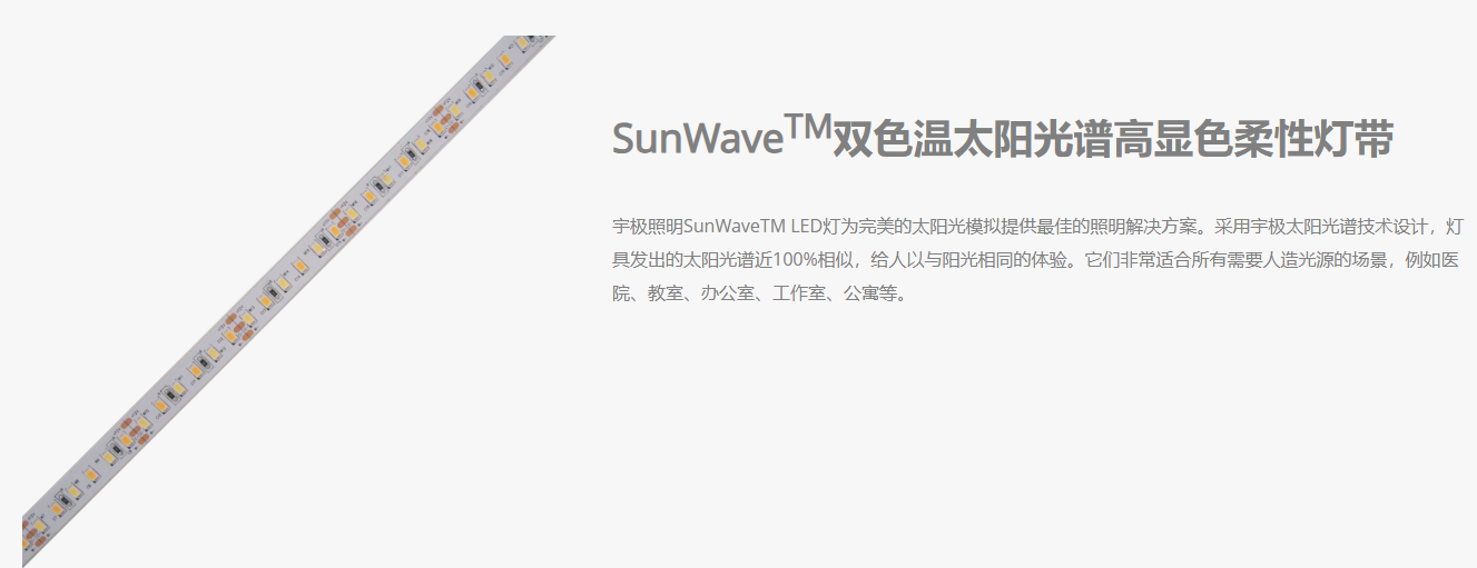 文件上传成功！