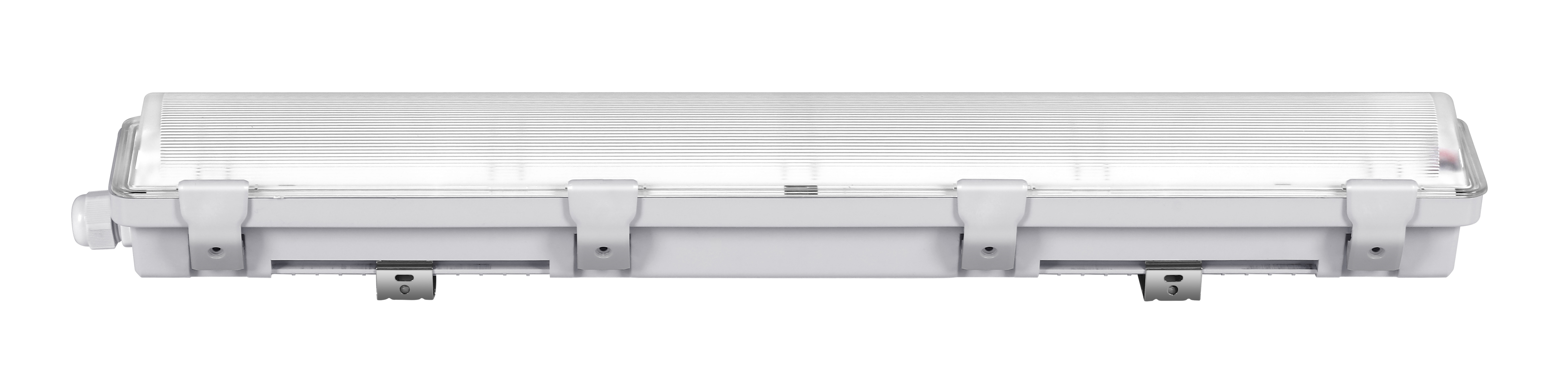 文件上传成功！