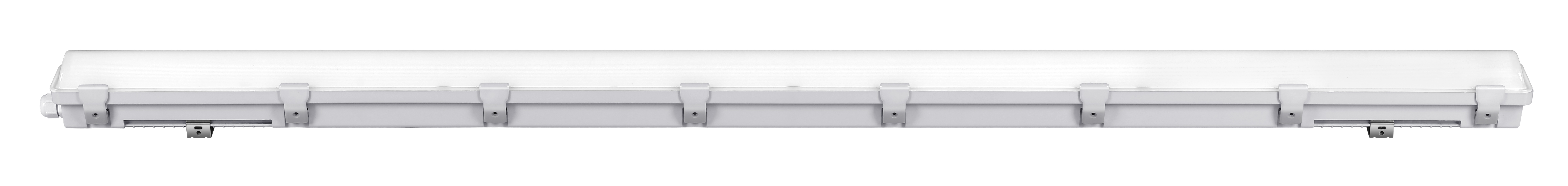 文件上传成功！