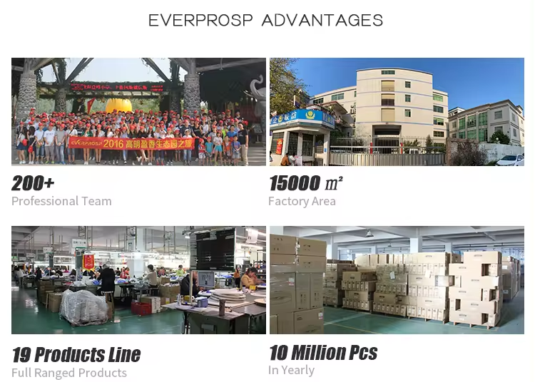 文件上传成功！