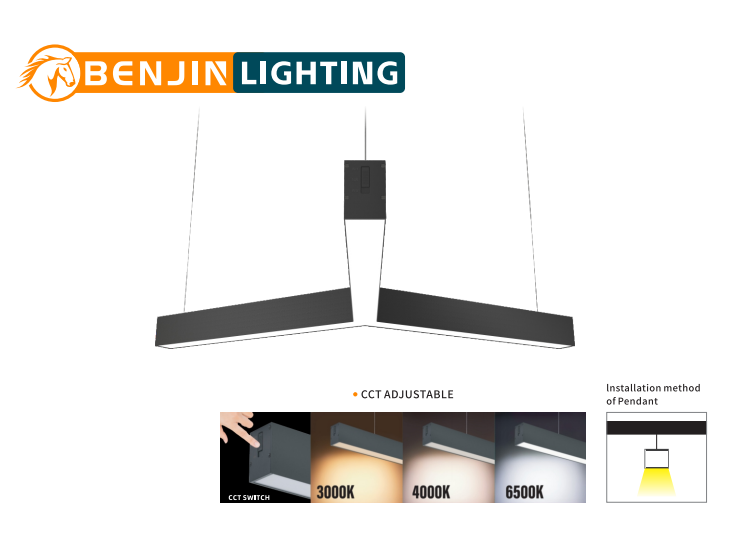 文件上传成功！