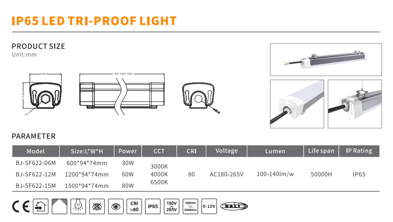 文件上传成功！