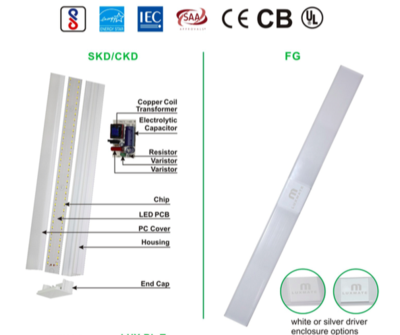 文件上传成功！