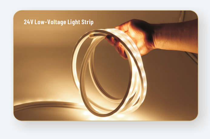 文件上传成功！