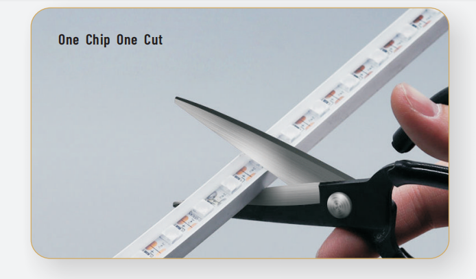 文件上传成功！