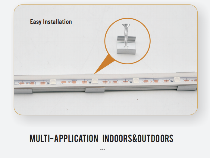 文件上传成功！