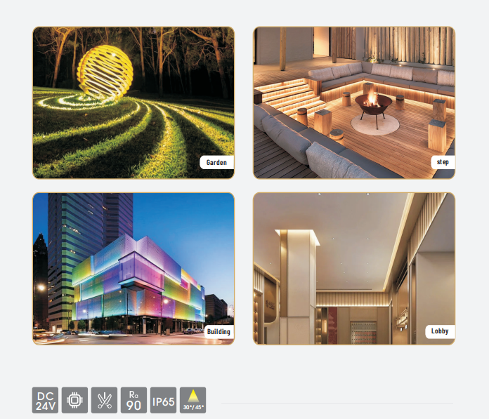 文件上传成功！