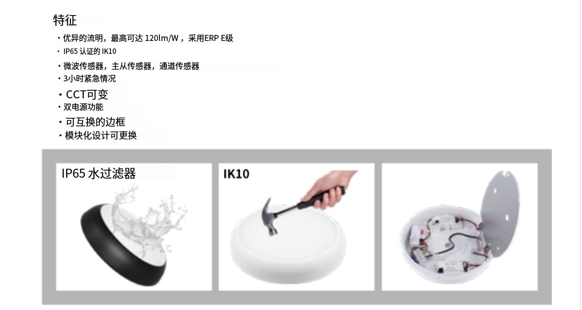 文件上传成功！