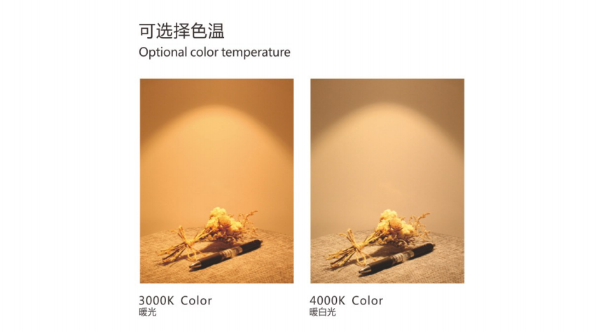 文件上传成功！