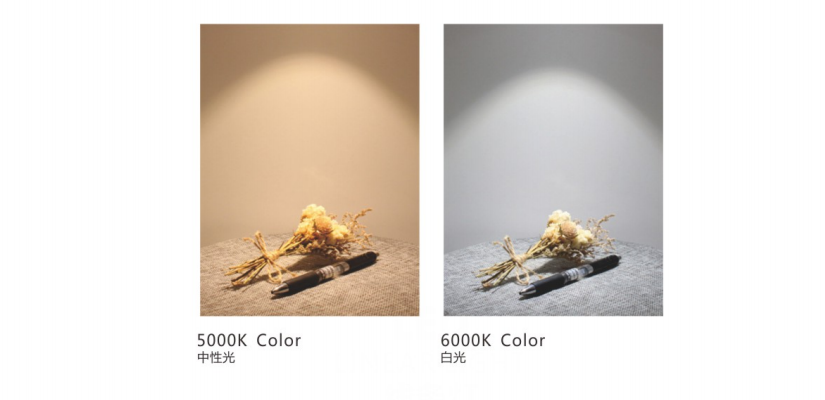 文件上传成功！