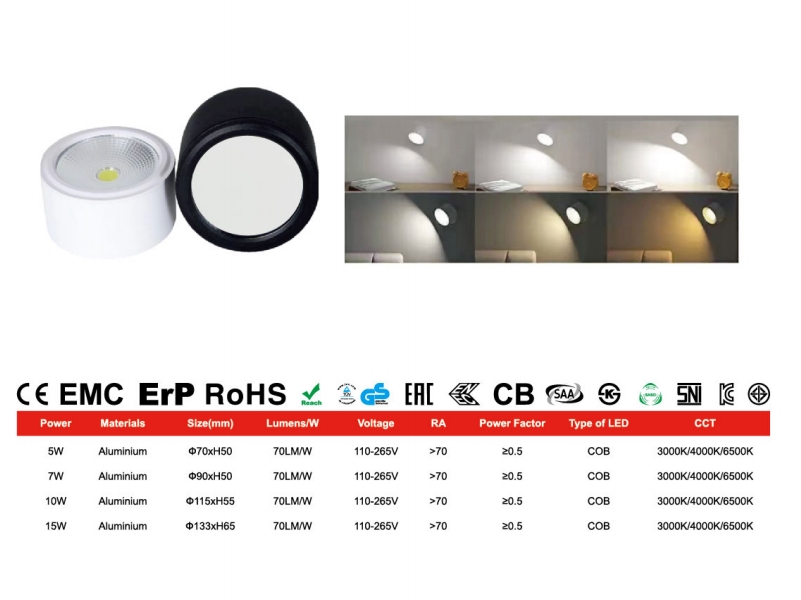 文件上传成功！