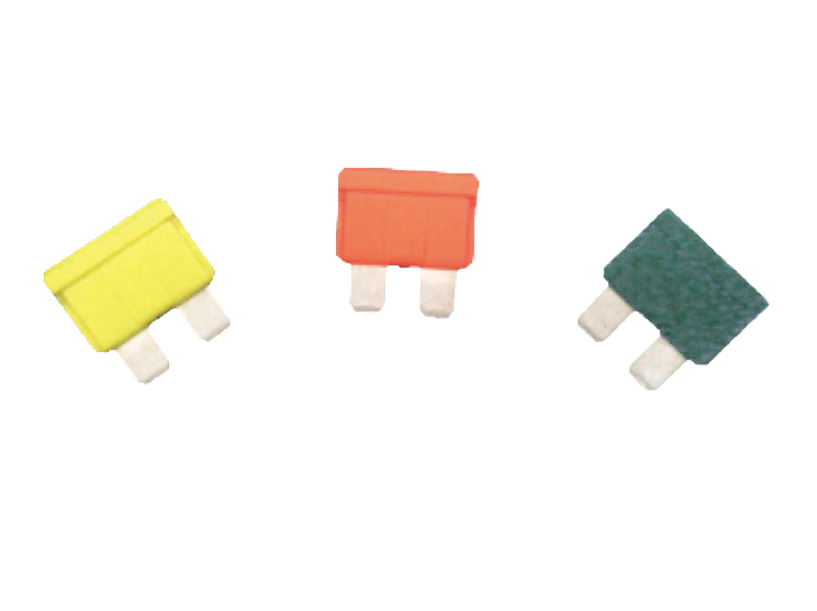 文件上传成功！