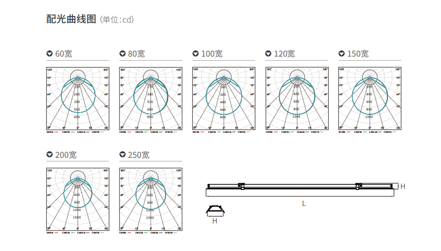 文件上传成功！