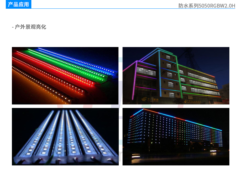 文件上传成功！