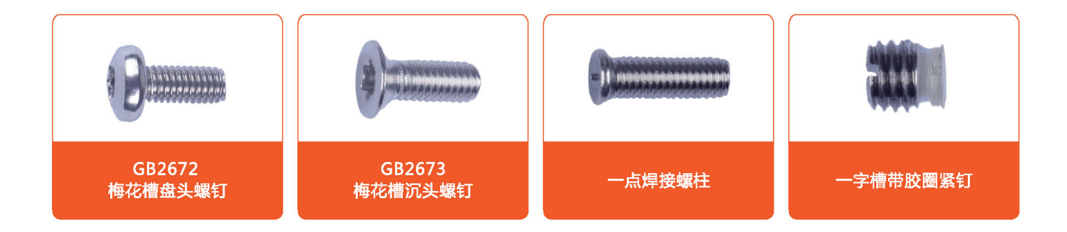 文件上传成功！