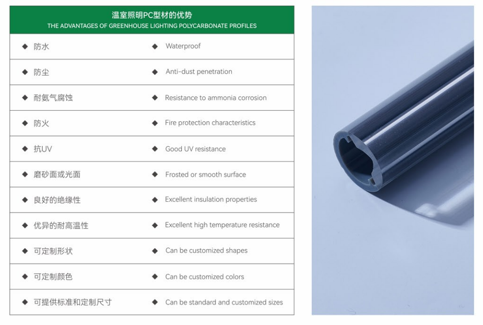 文件上传成功！