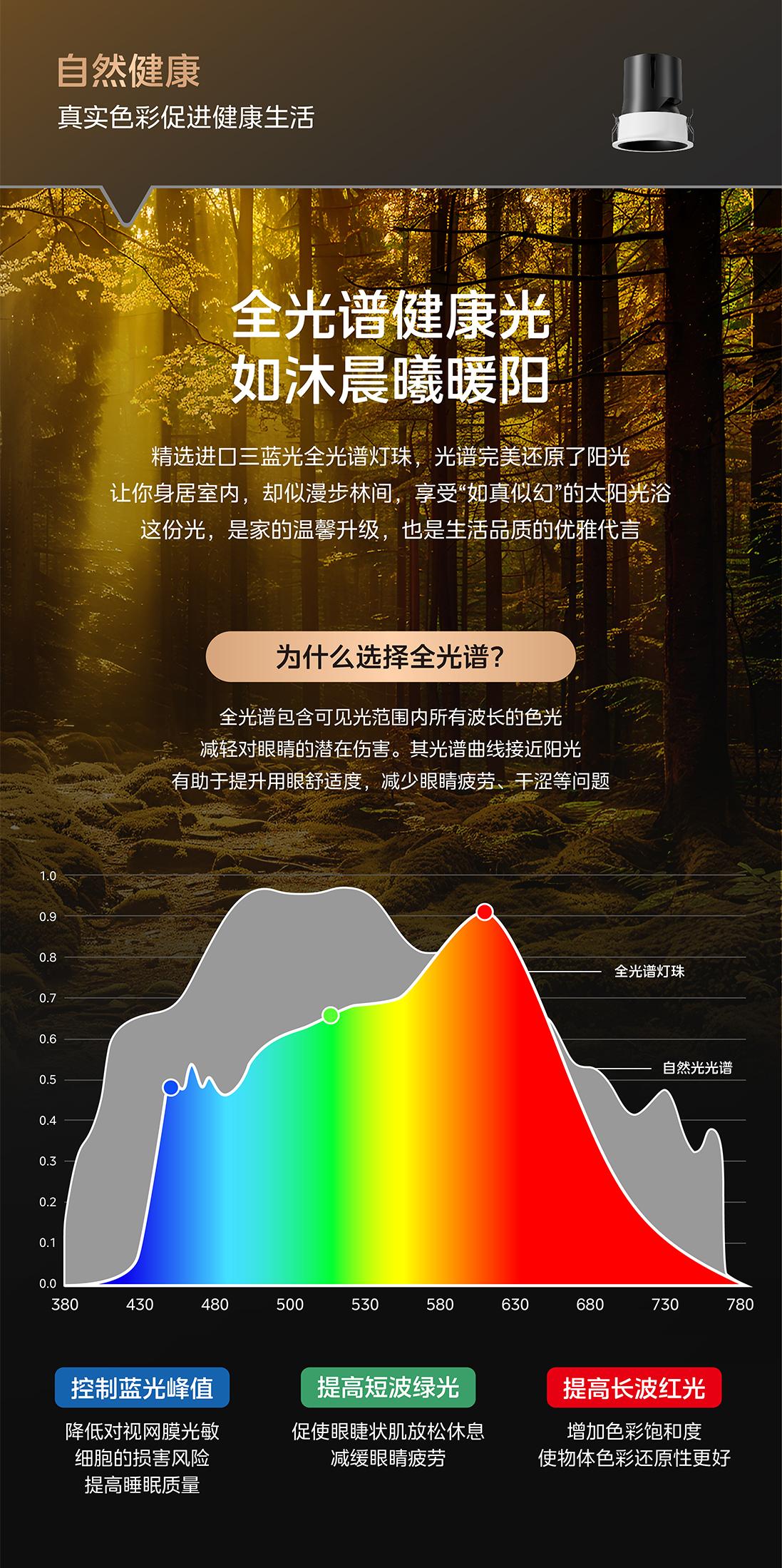 文件上传成功！