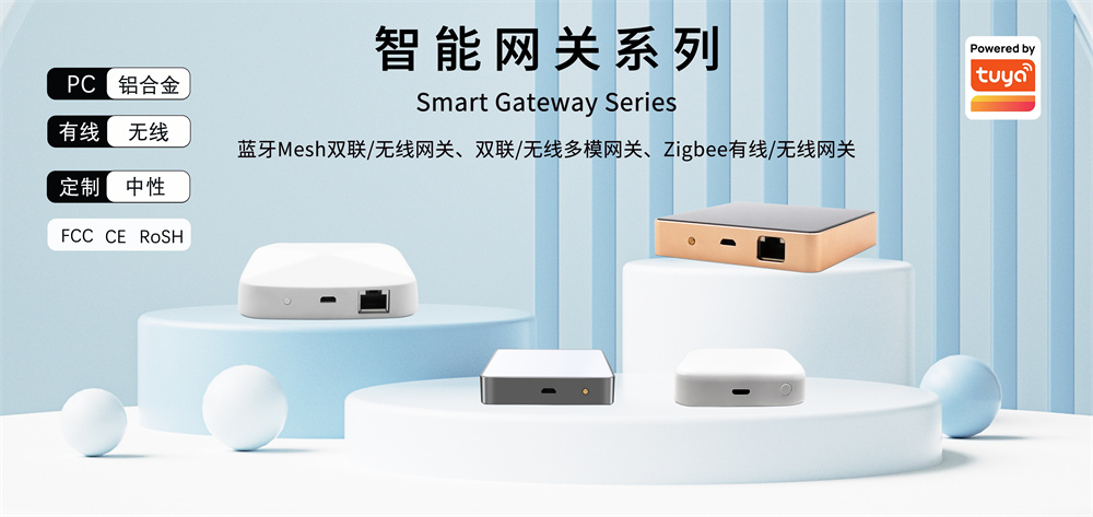 文件上传成功！