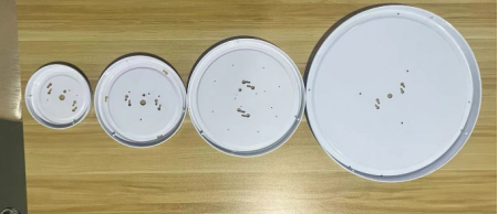 文件上传成功！