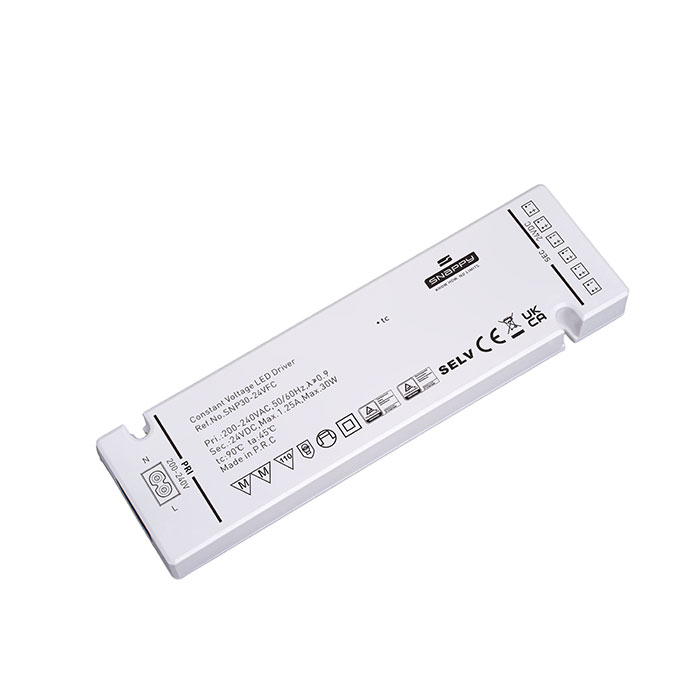 文件上传成功！