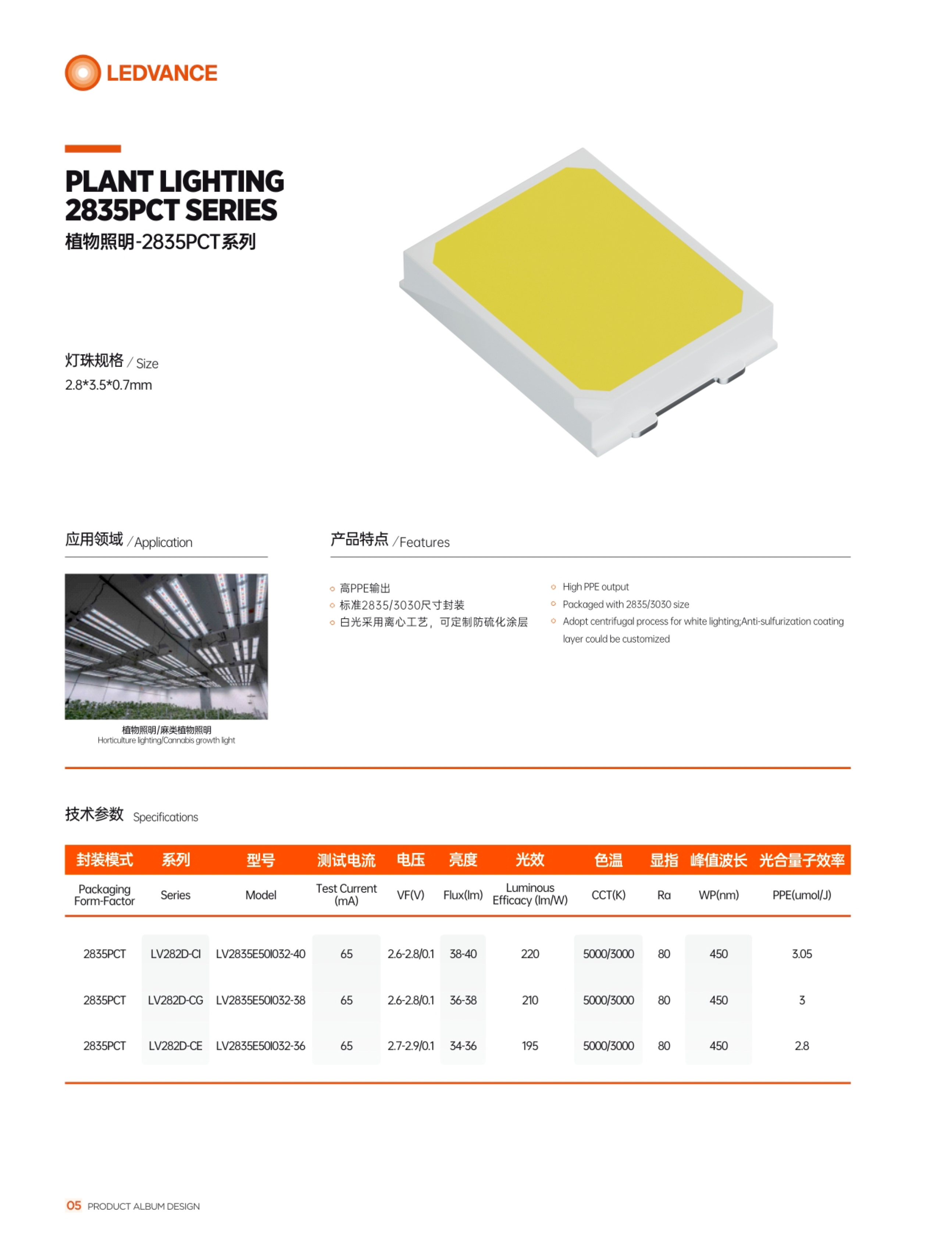 文件上传成功！