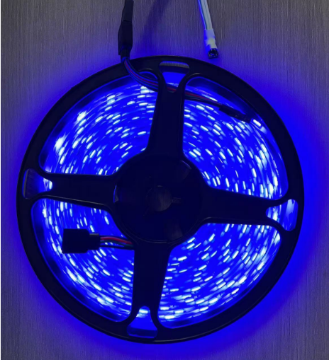 文件上传成功！