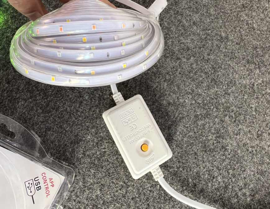 文件上传成功！