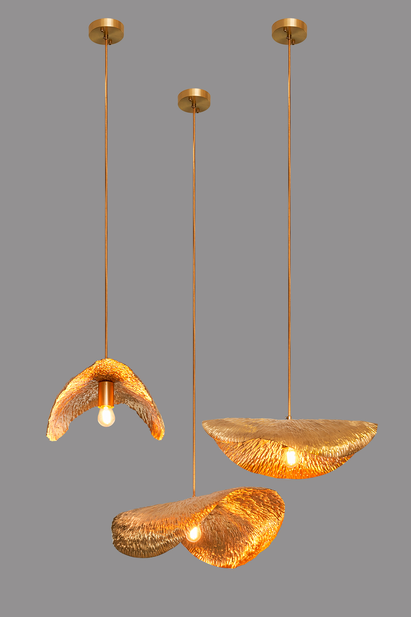 文件上传成功！