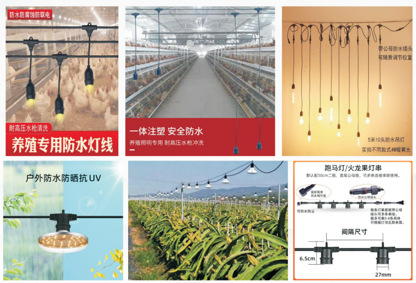 文件上传成功！