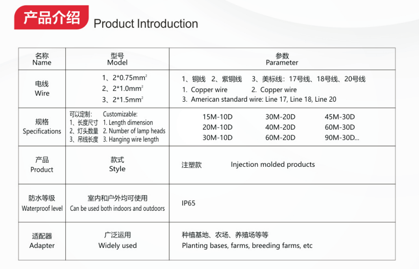 文件上传成功！