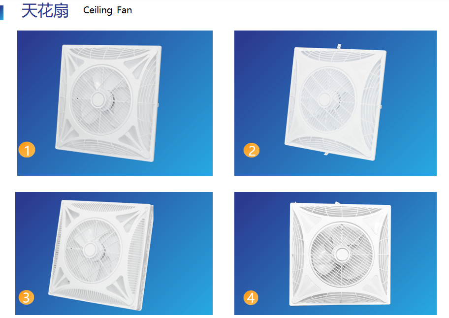 文件上传成功！