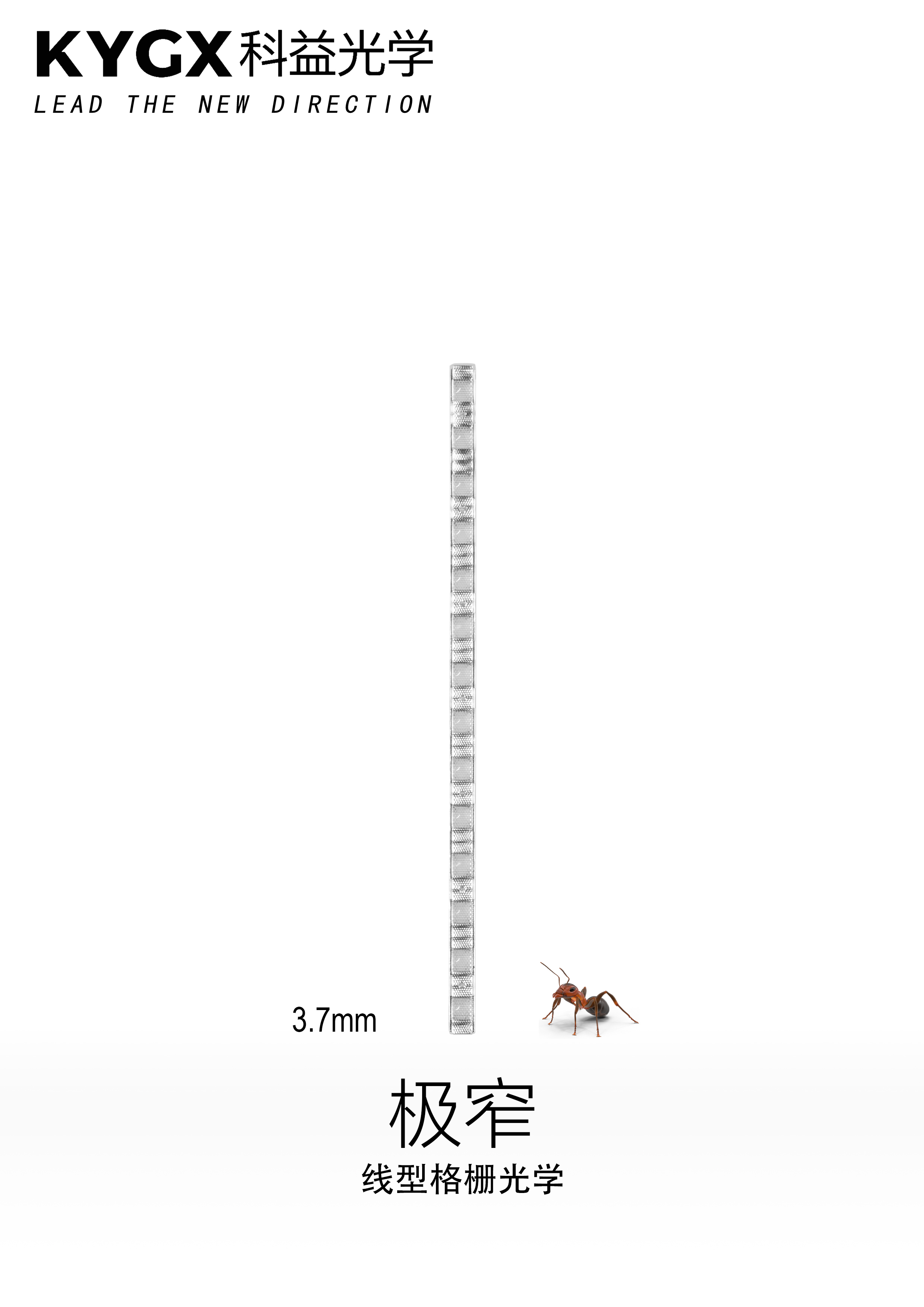 文件上传成功！