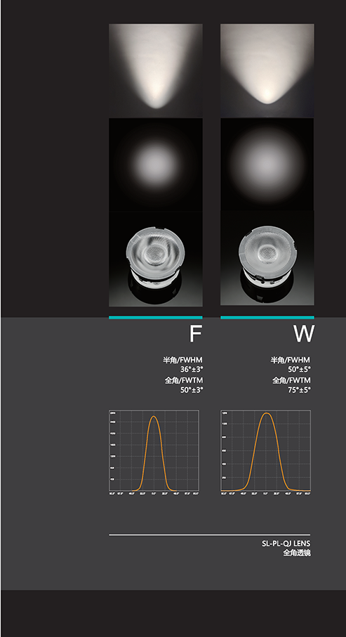 文件上传成功！