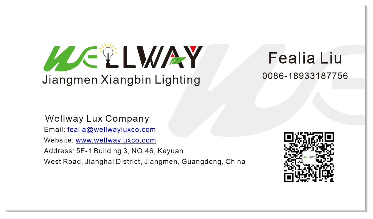 文件上传成功！